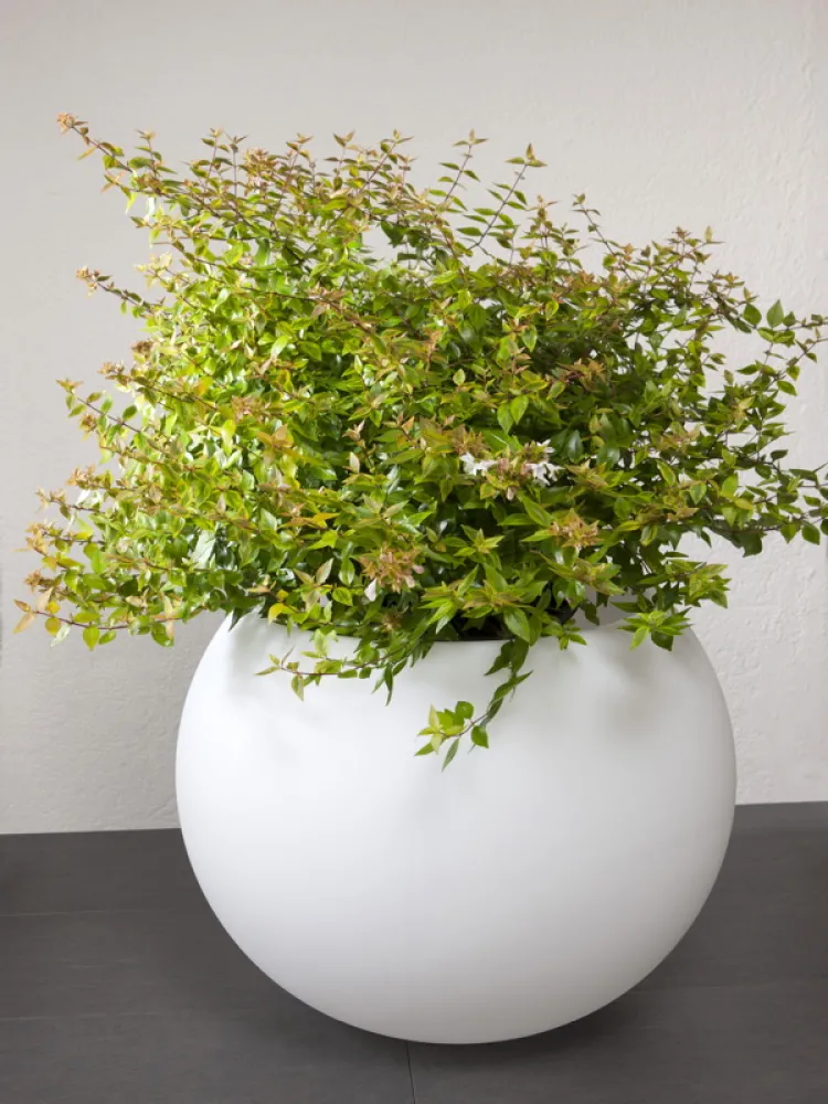 sandy|gartenlampe-aussenleuchte-blumentopf-epstein-design-Flora-65-20025-unbeleuchtet-bepflanzt.jpg
